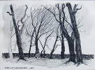 Trees at Hospitalfield 1969 - Jim Dunbar